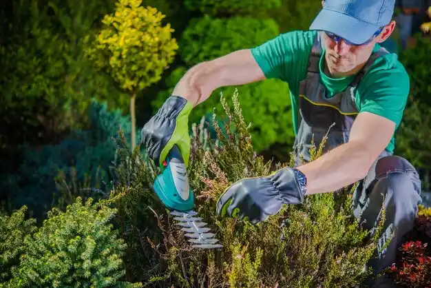 landscaping services Scott City